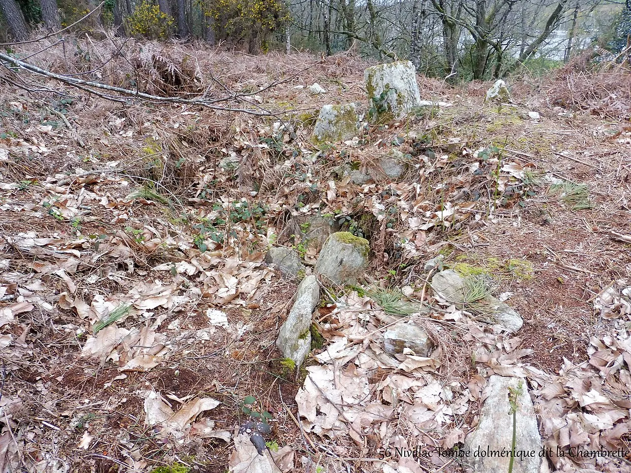 Dolmen dit La Chambrette