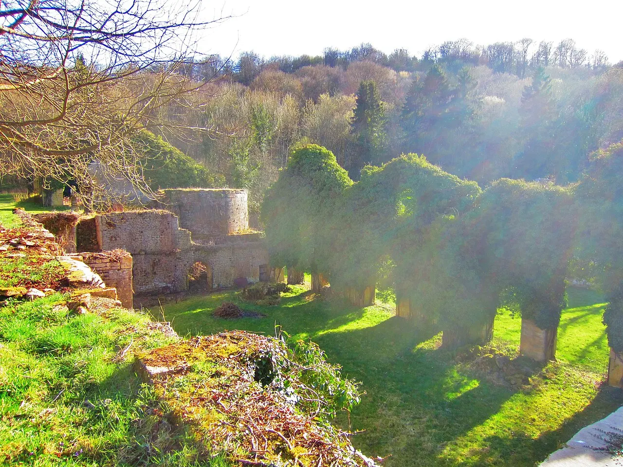 Buré la Forge