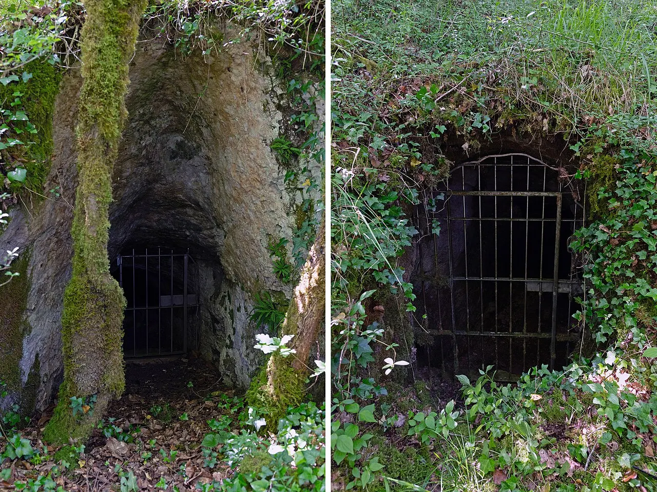 Site archéologique des grottes de Combe Nègre