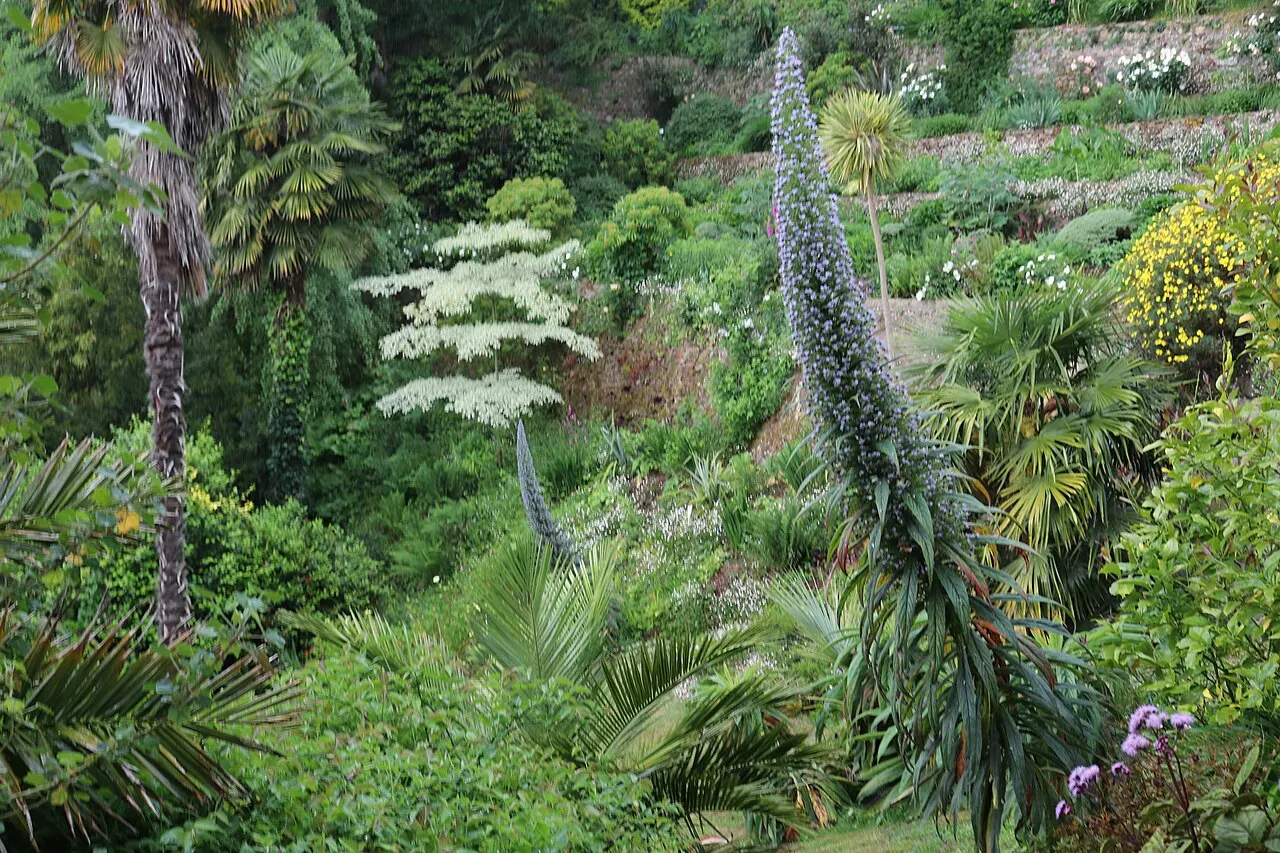 Jardin du Kestellic