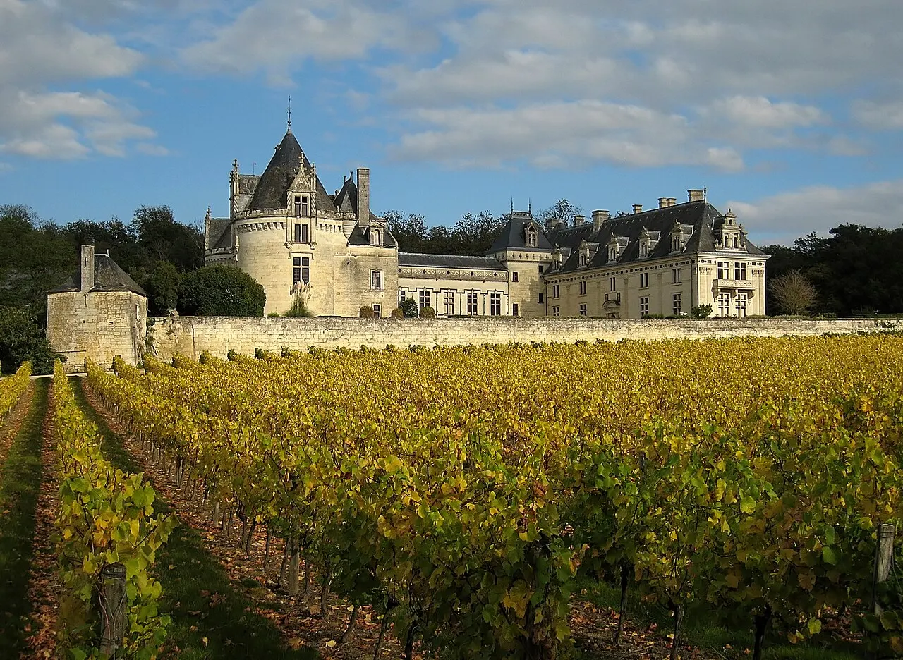 Château de Brézé
