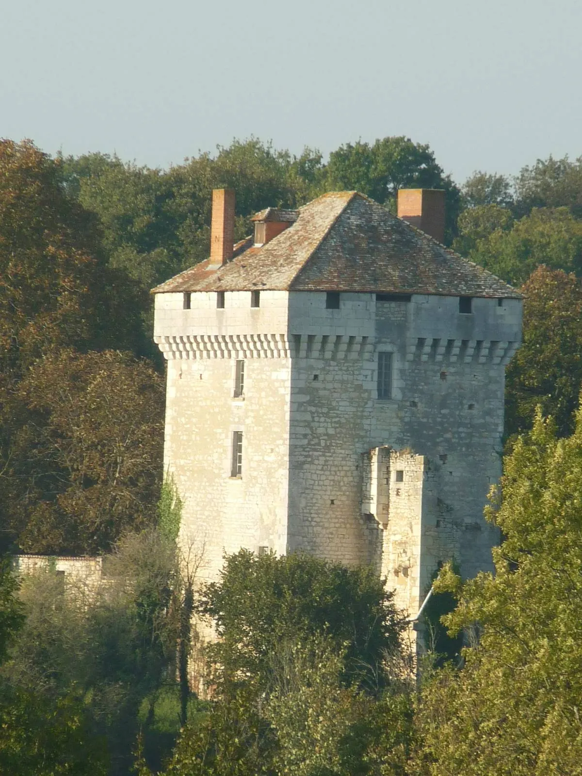 Château des Pins