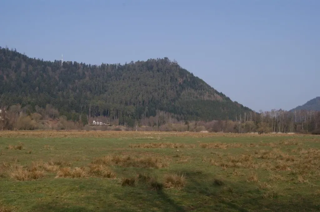 Zone archéologique