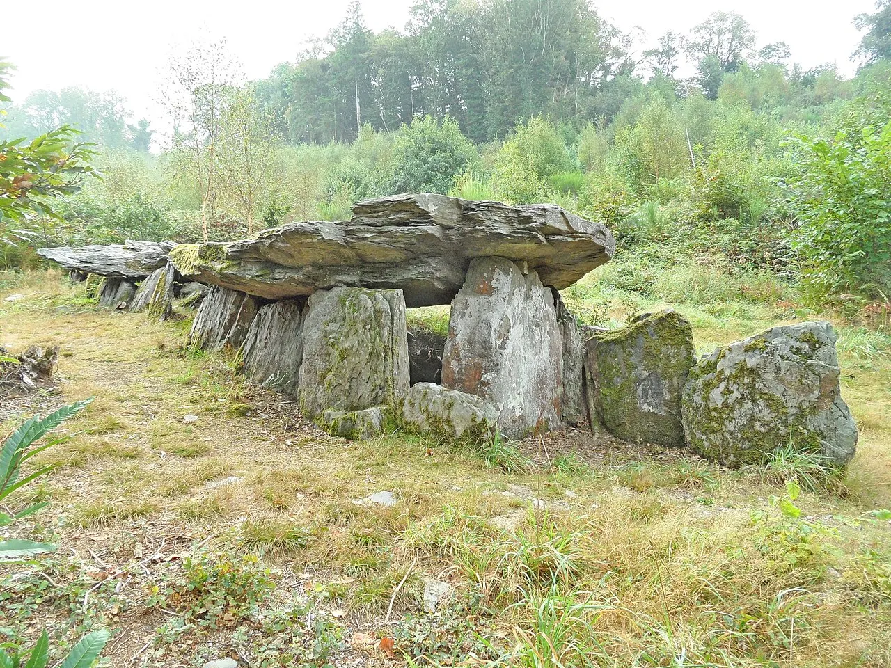 Allée couverte dite Loch-ar-Ronfl