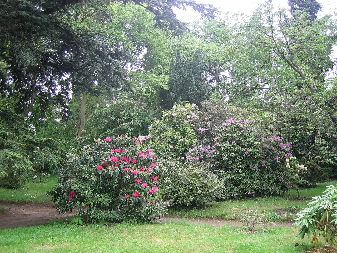 Arboretum Vilmorin
