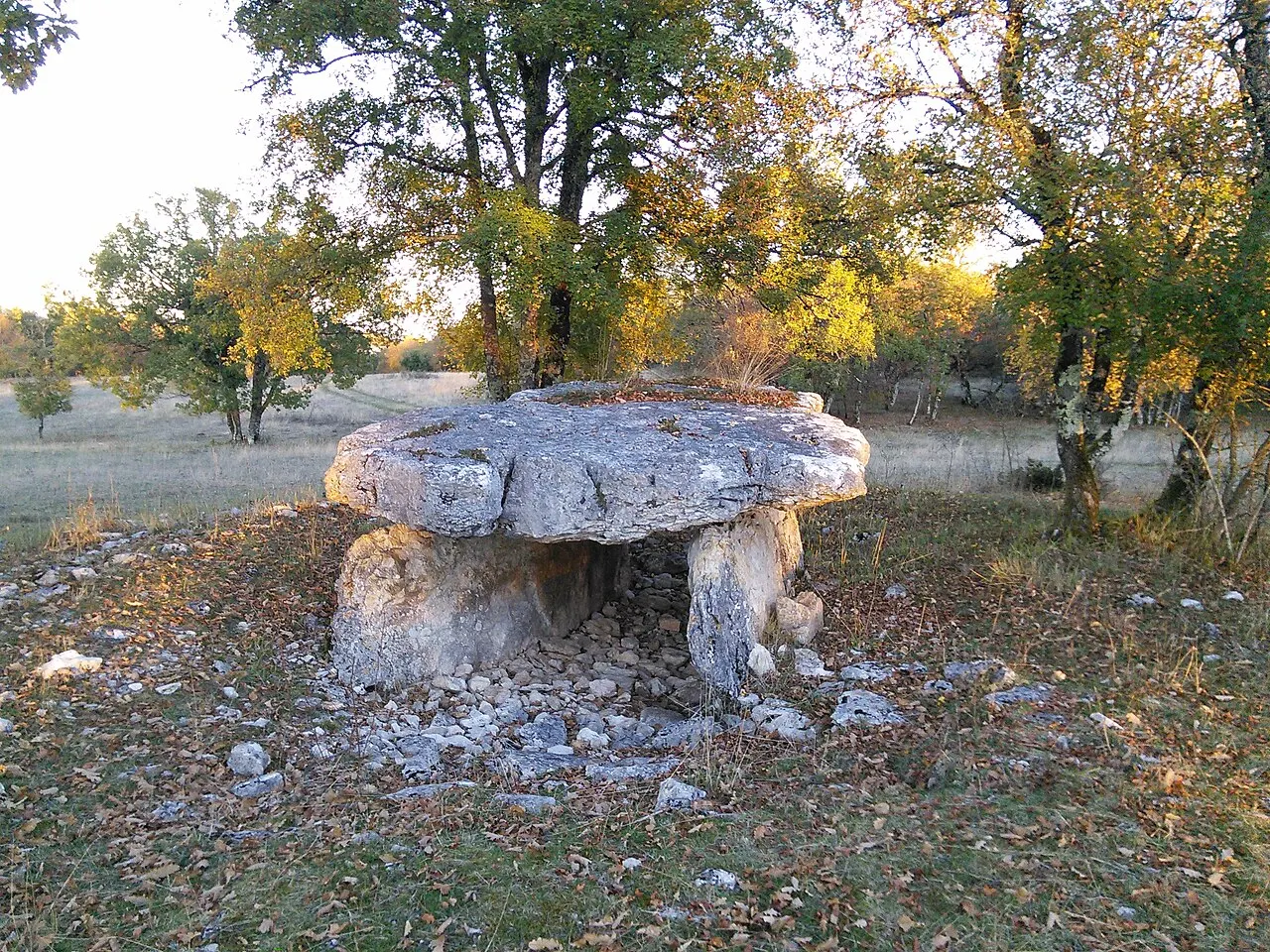 Dolmen dit Pierre levée de Nougayrac