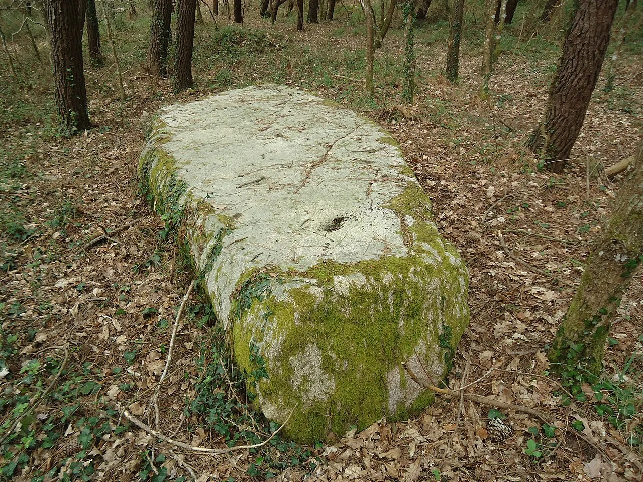Menhir « Men Plat »