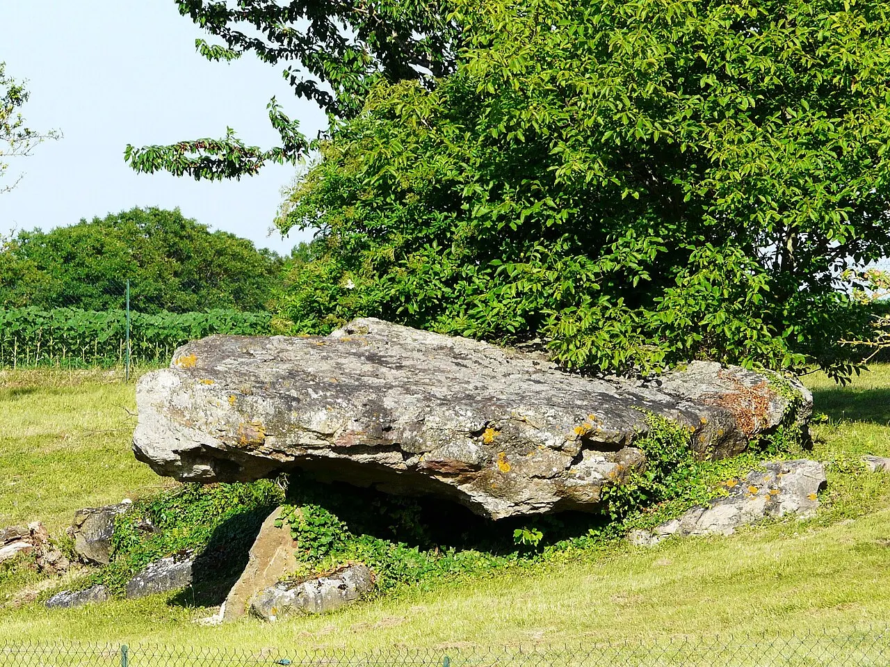 Dolmen de la Fontaine du Son