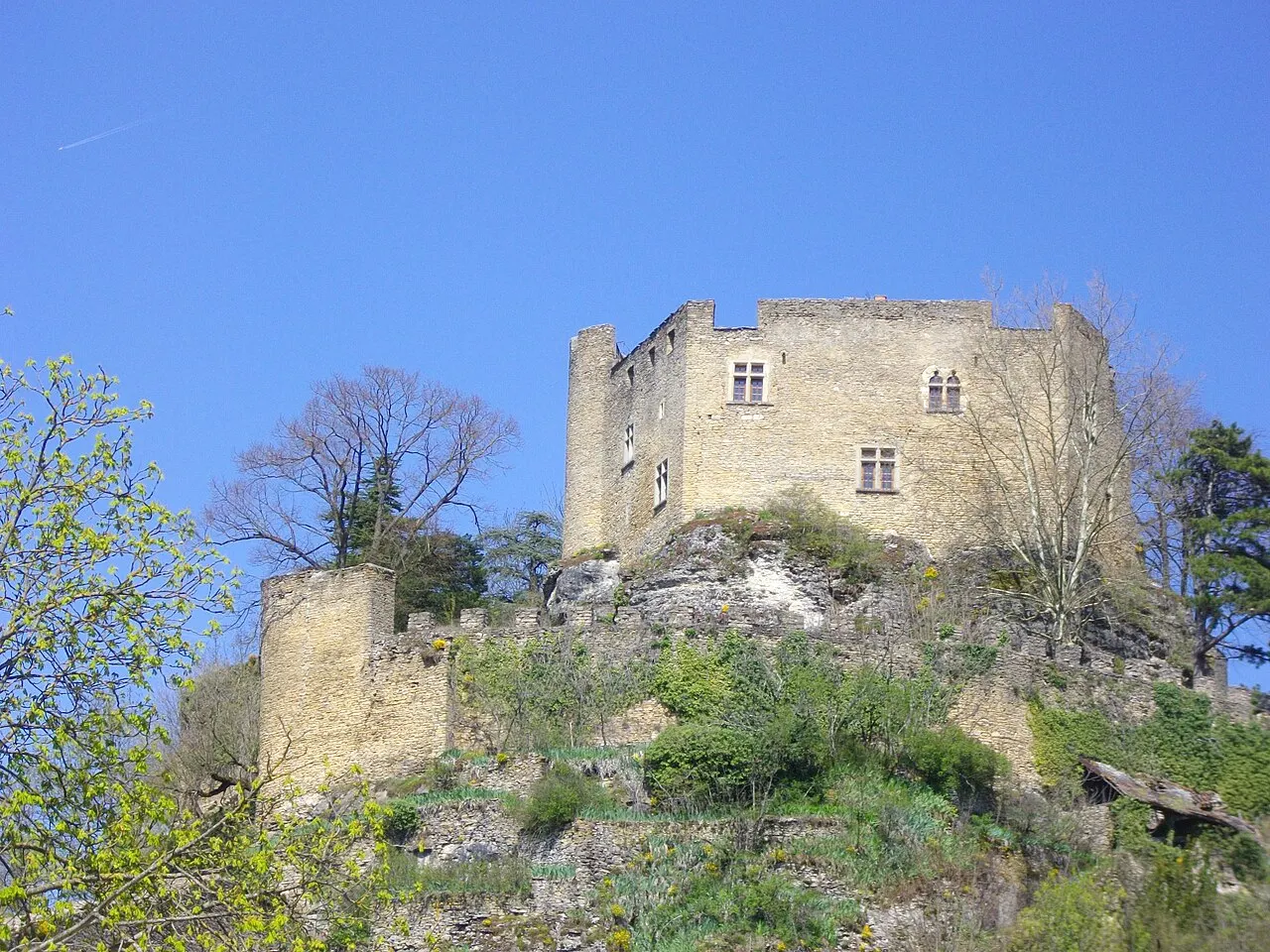 Château Delphinal (ancien)