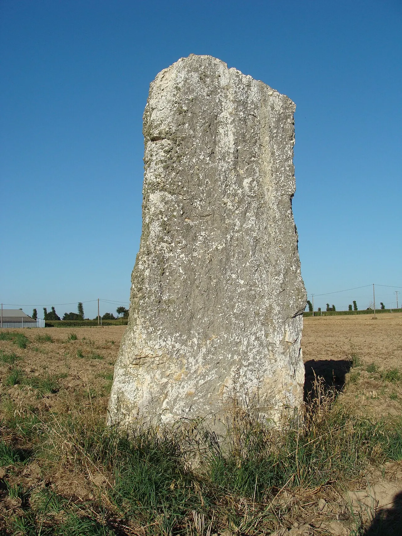 Menhir dit La Roche Carrée