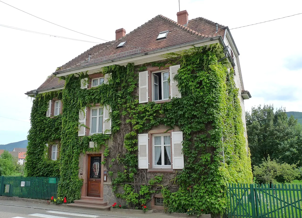 Maison Albert Schweitzer
