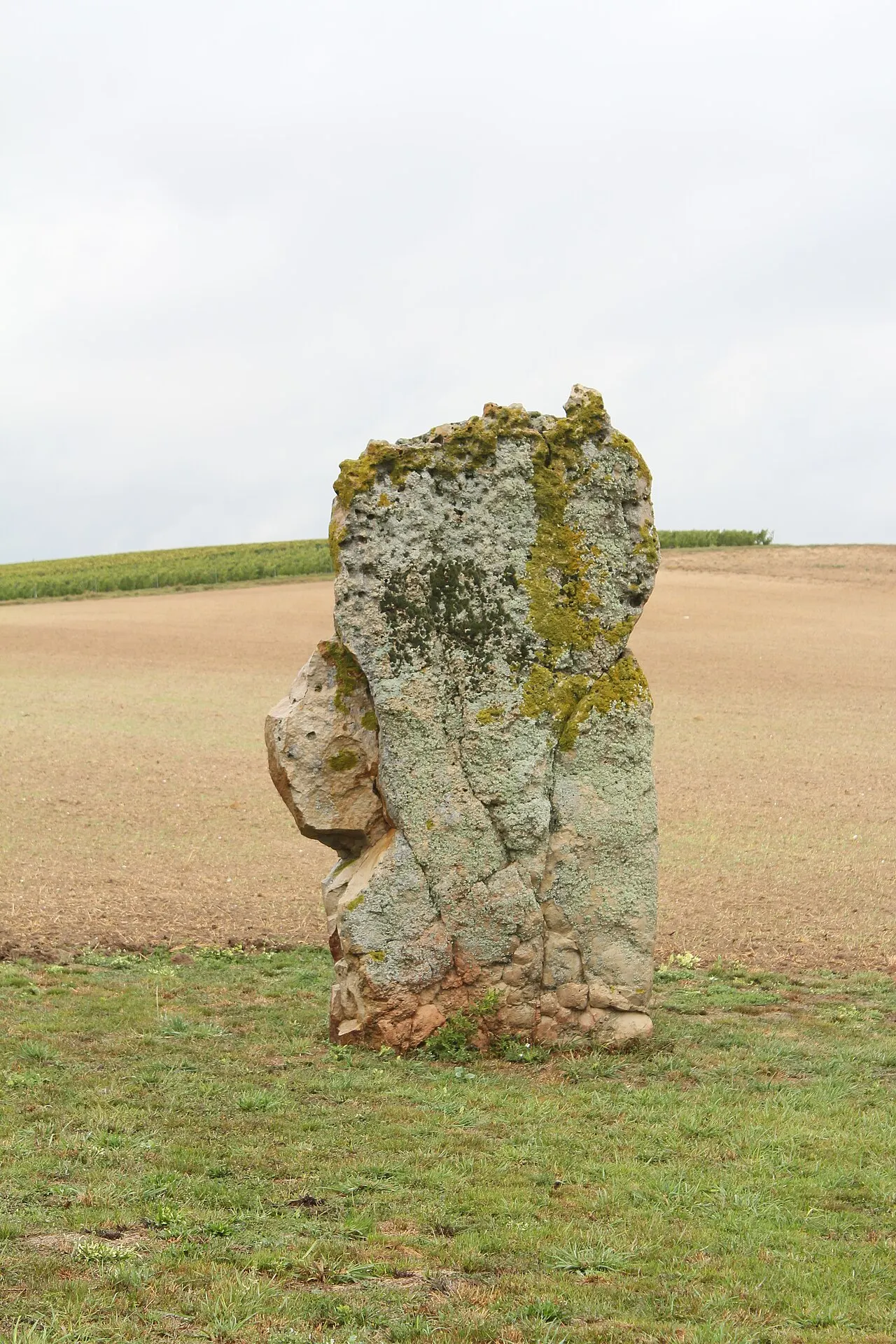 Menhir de l’étang de Chénevry
