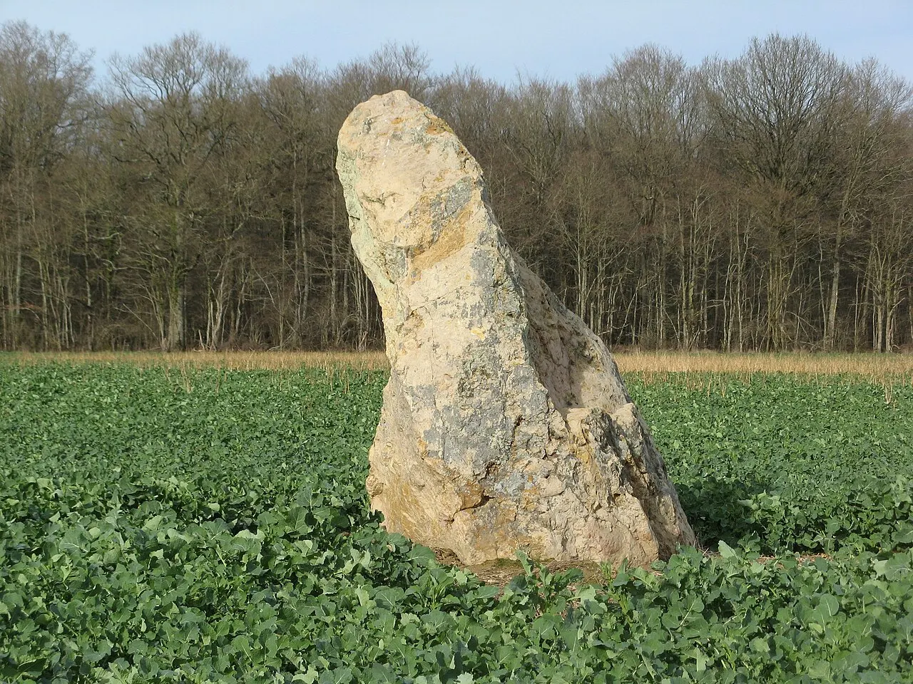 Menhir de la Pierre Pointue