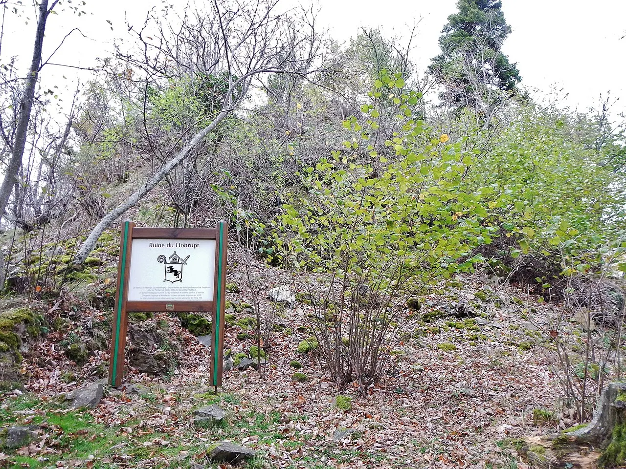Château du Hohrupf