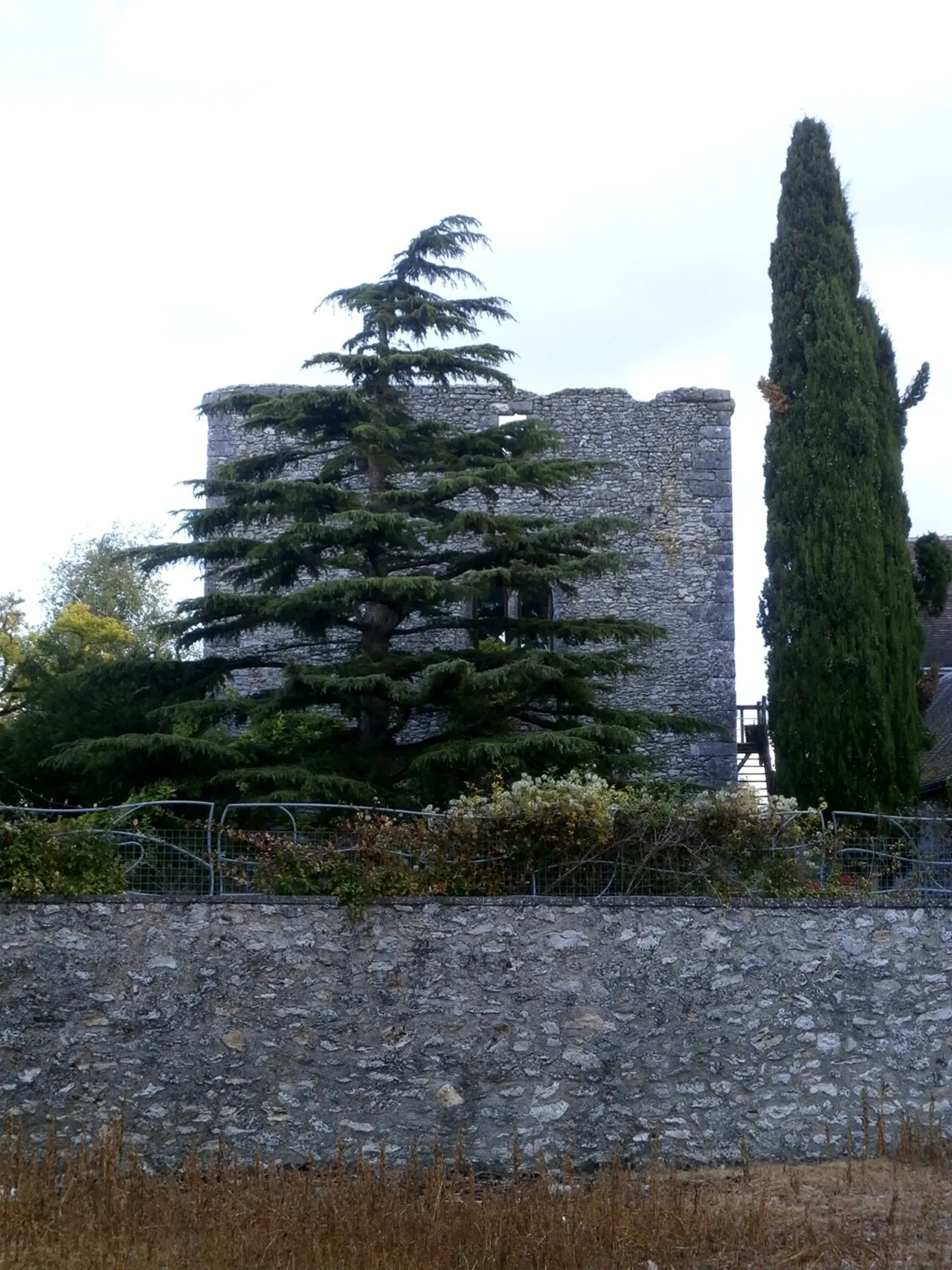 Vestiges du Donjon