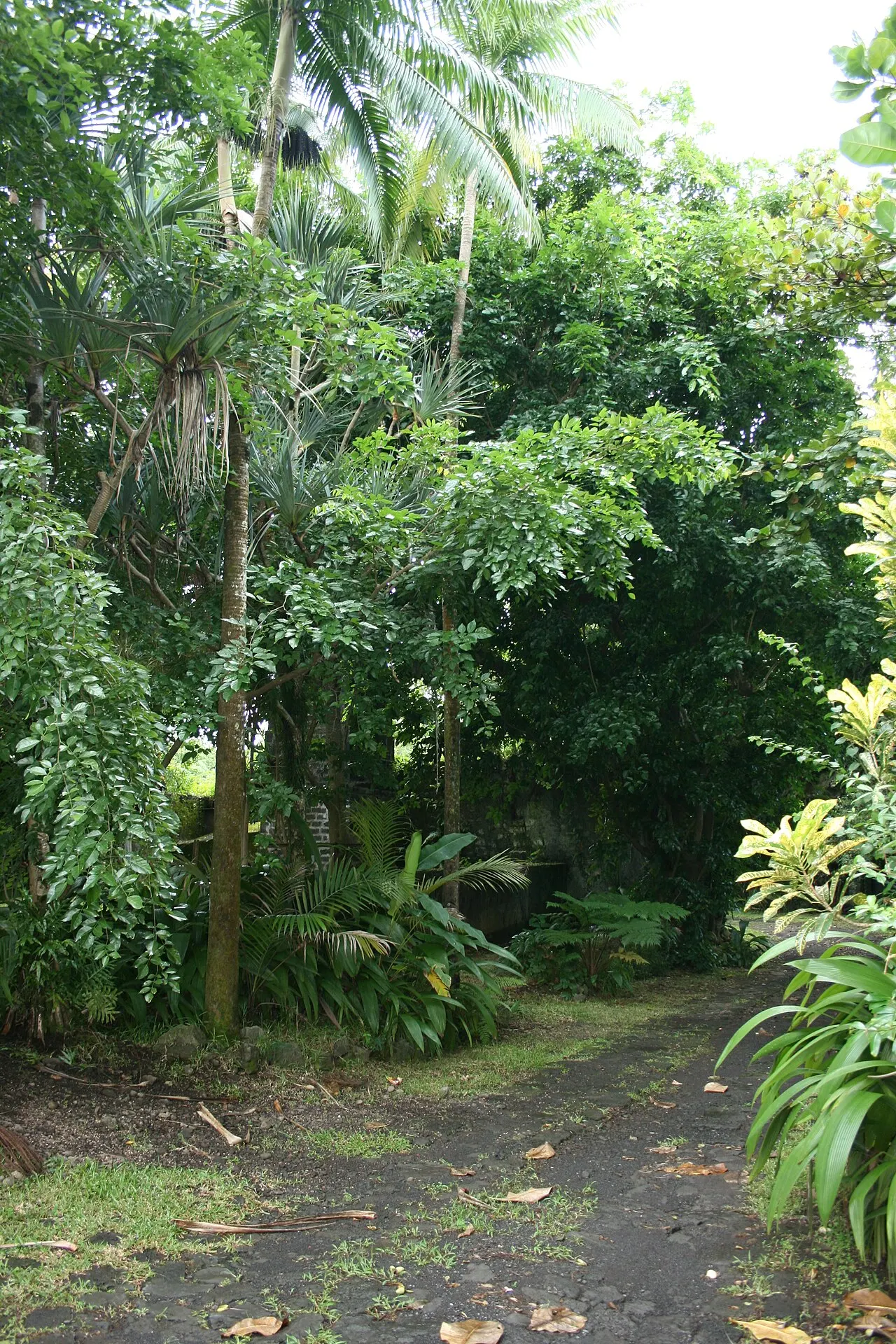 Domaine de la Confiance ou domaine Carrère