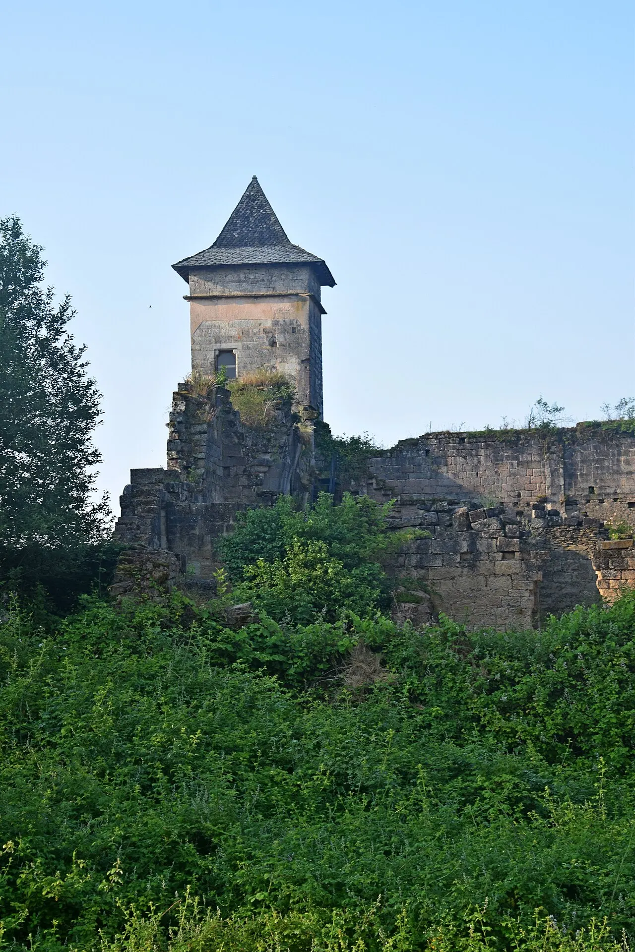 Ruines du château de Pervinquières