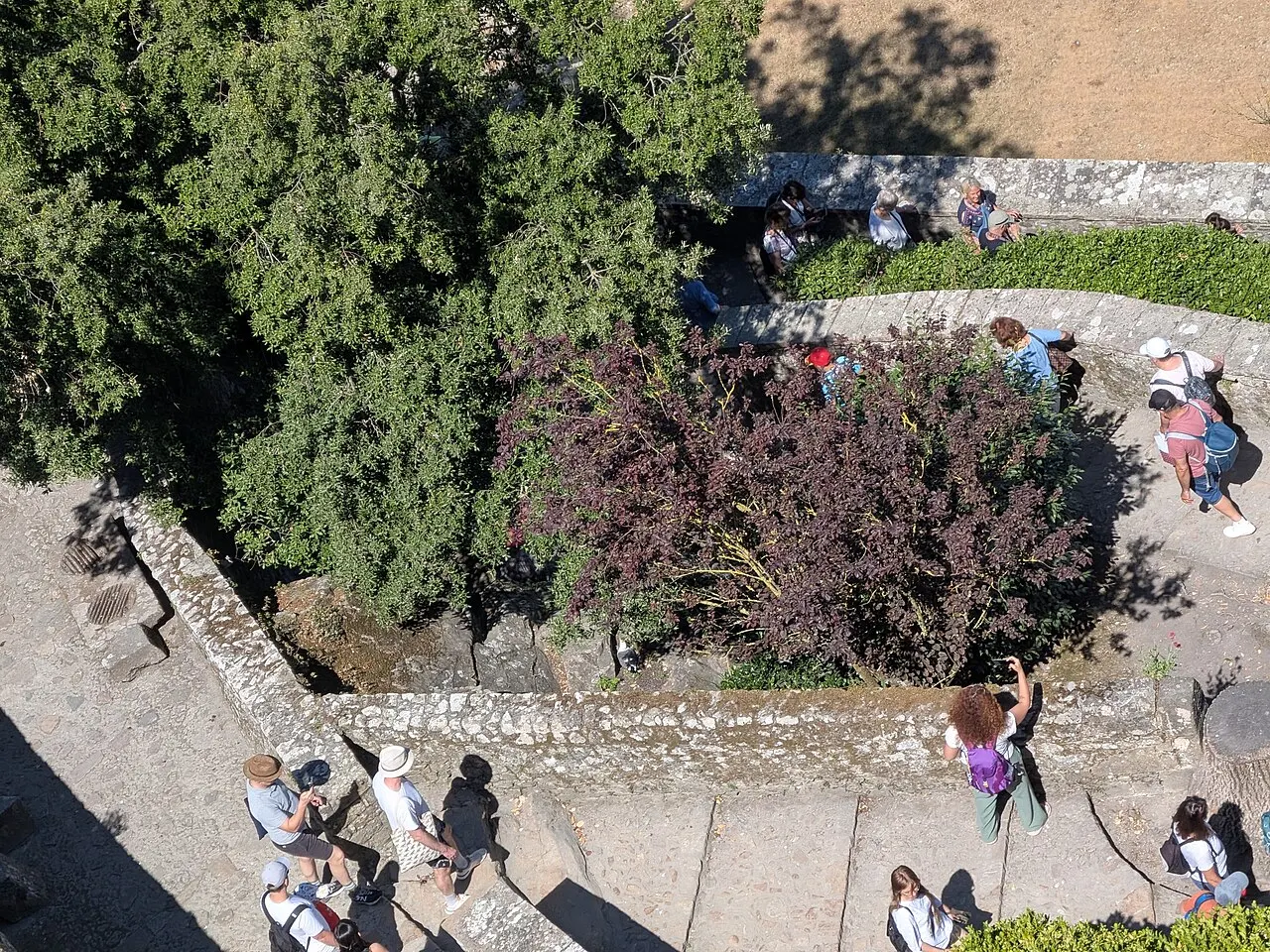 Immeuble Domanial dit le Petit-Bois