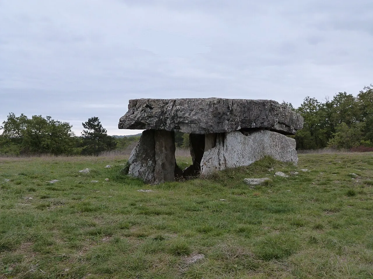Dolmen dit Peyrelevade