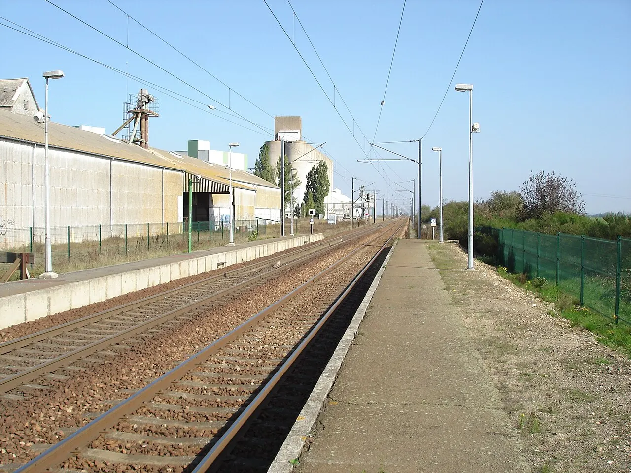 Broué