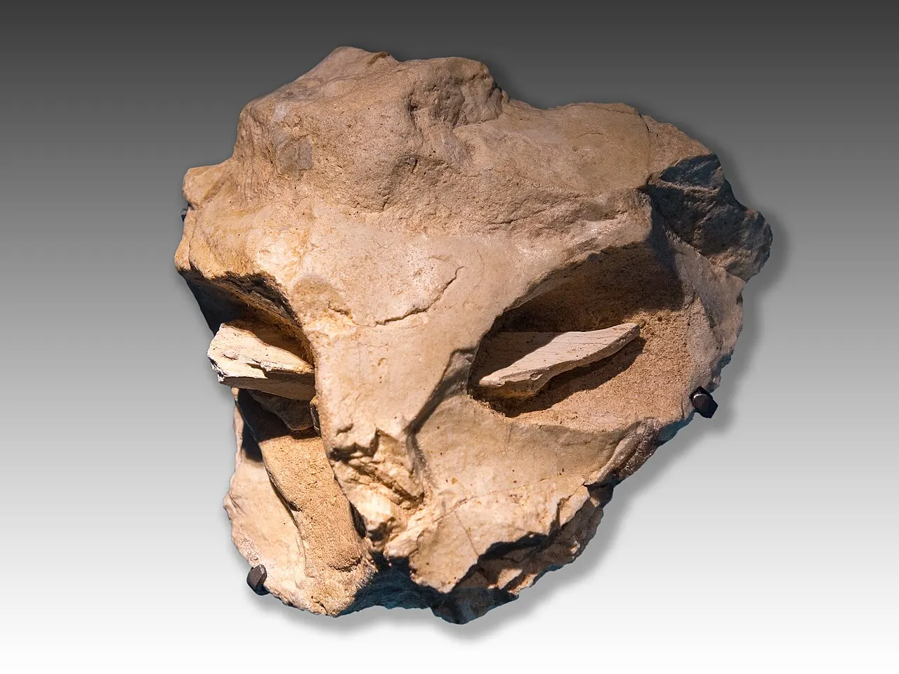 Grotte de la Roche-Cotard