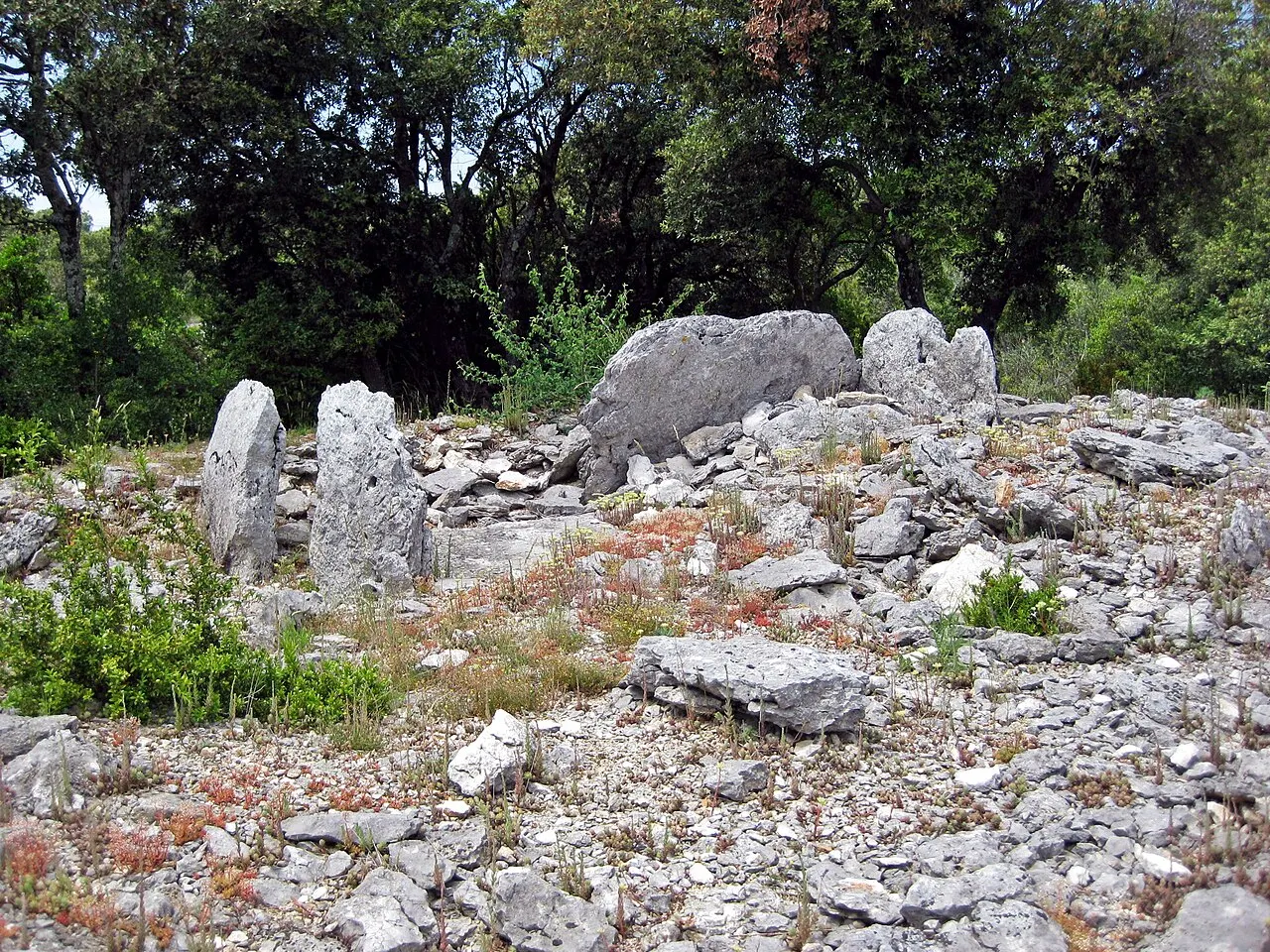 Dolmen1-Géantes
