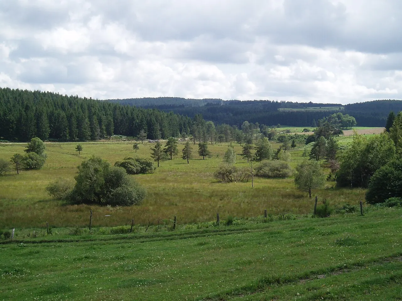 Parc naturel régional de Millevaches en Limousin