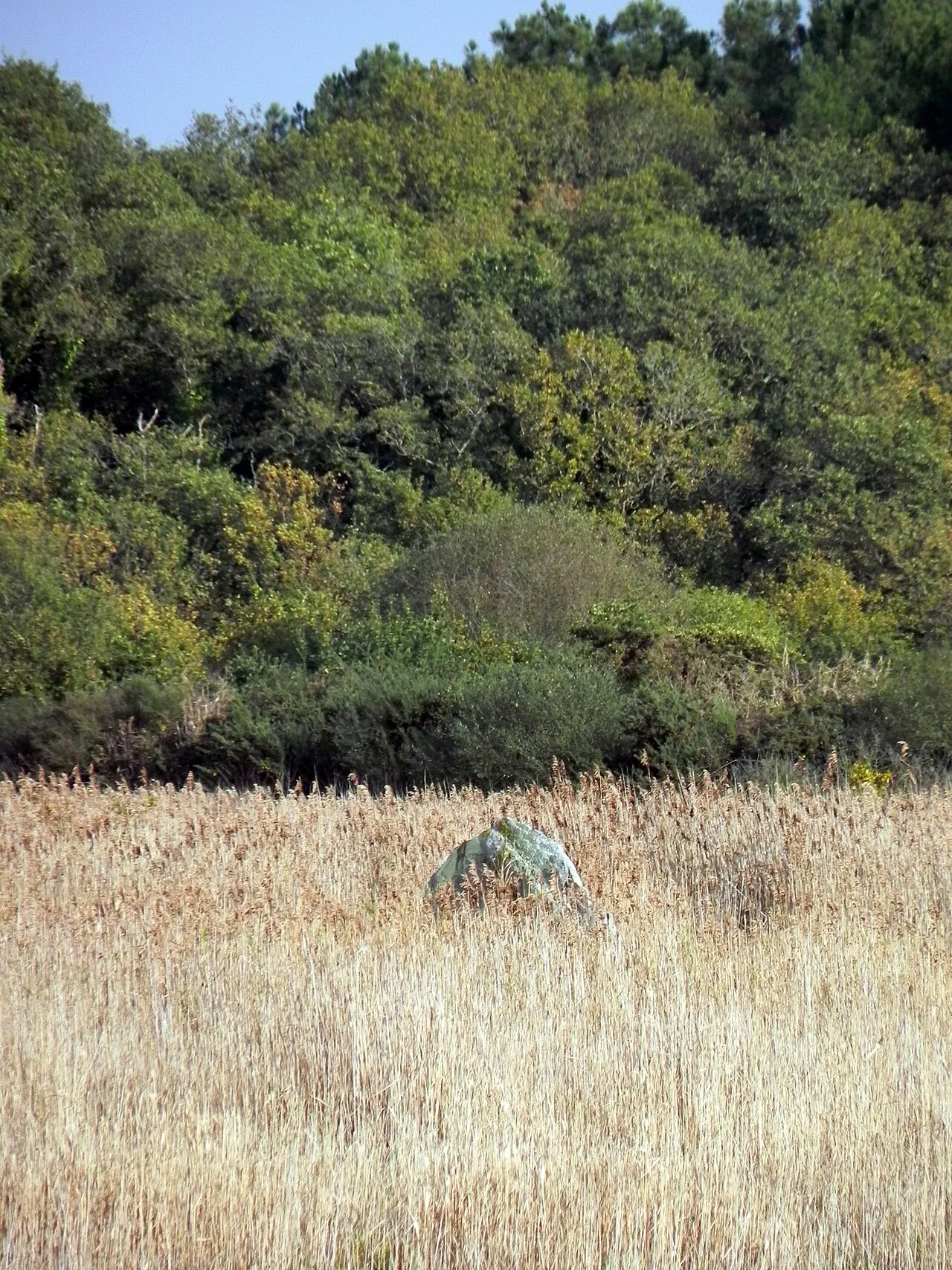 Menhir de Mézerac
