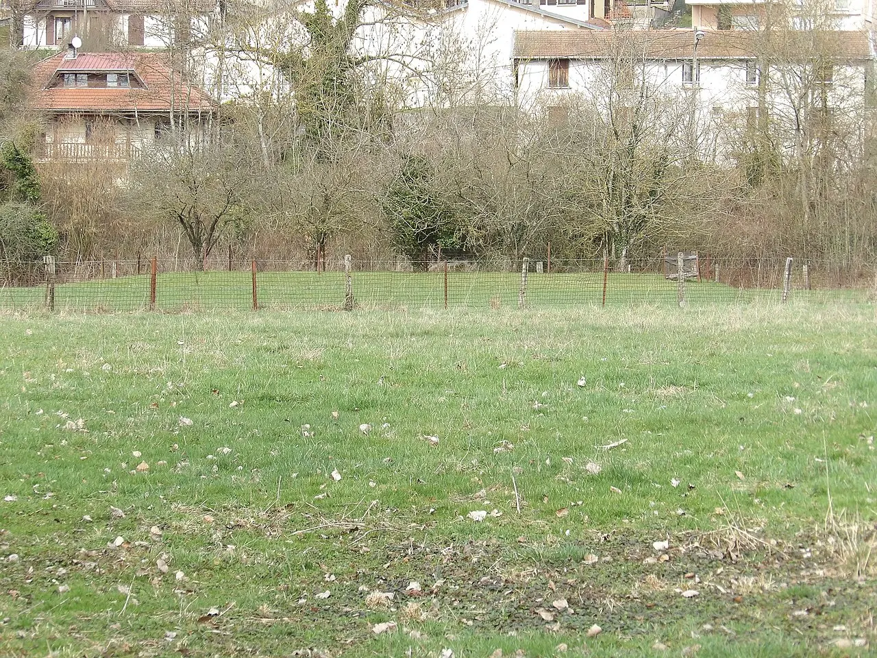 Motte castrale (ancienne)