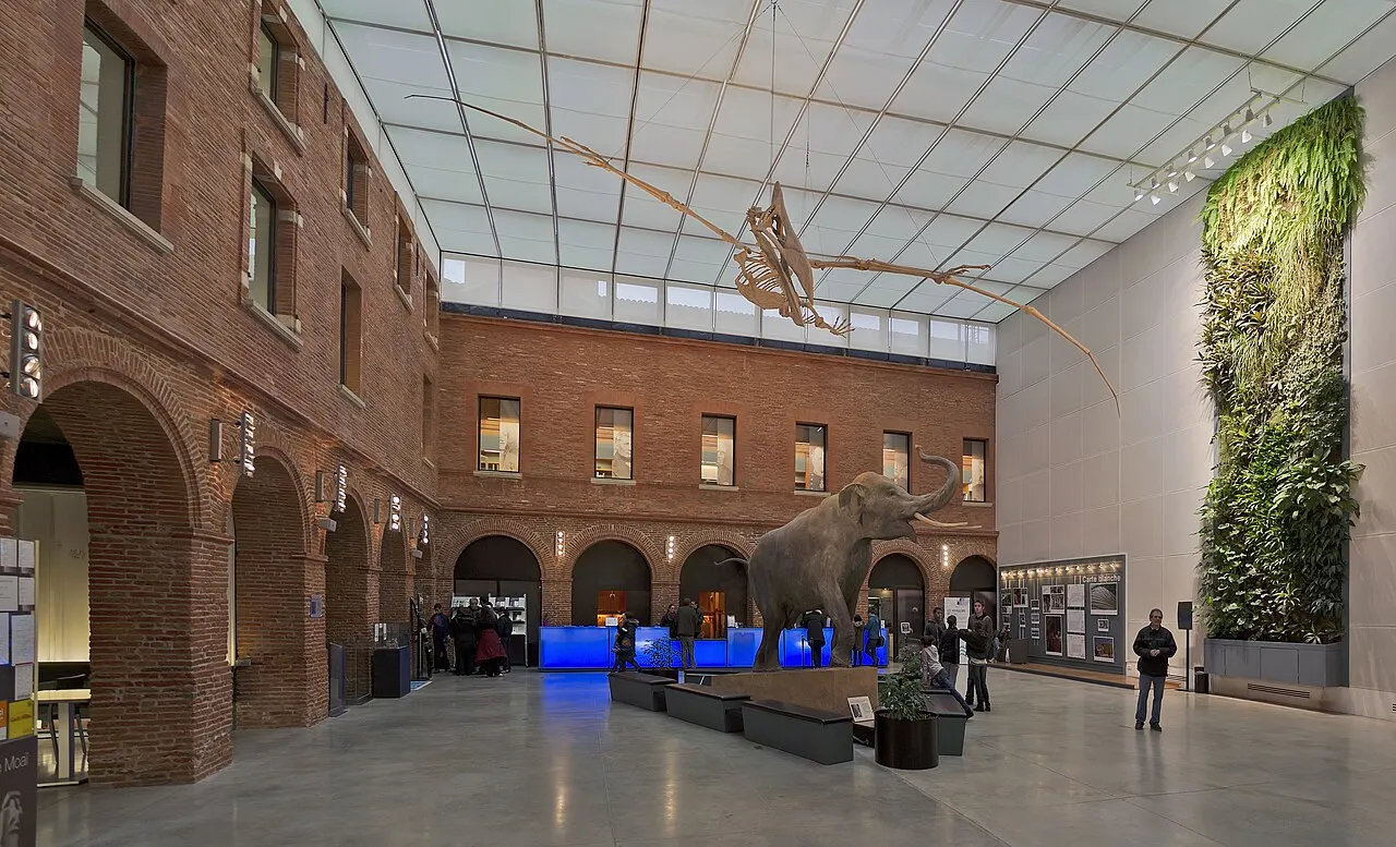 Muséum d’Histoire Naturelle