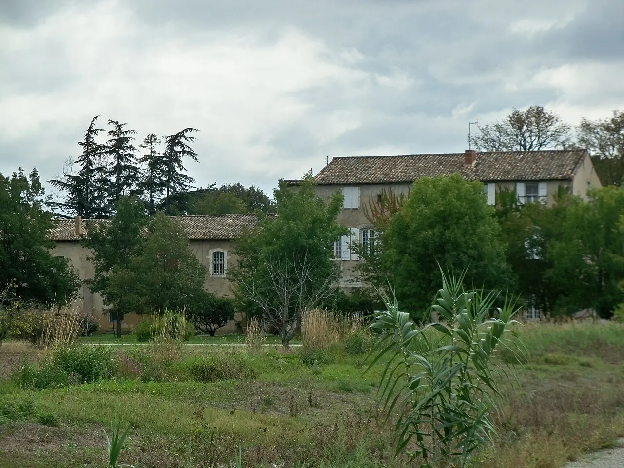 Domaine de la Durette, à Montfavet