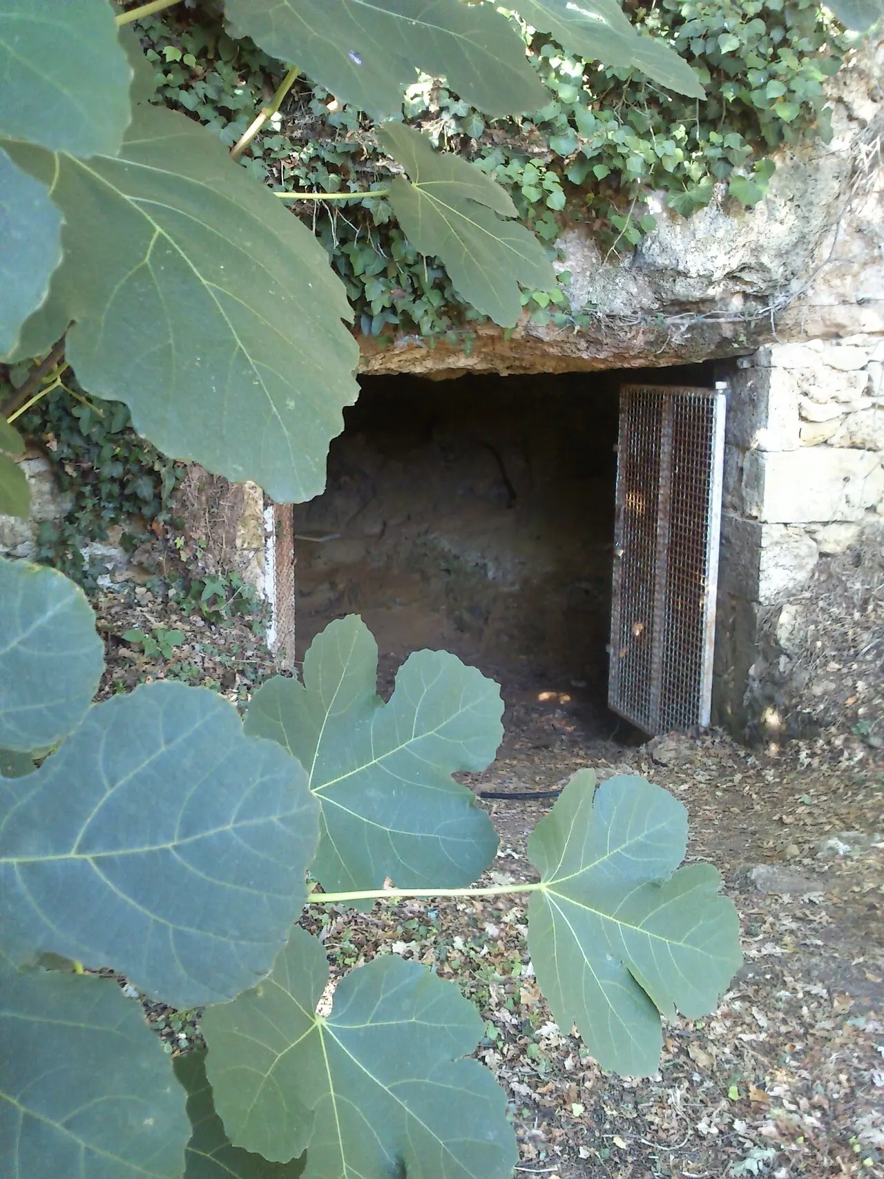 Grotte de la Marche