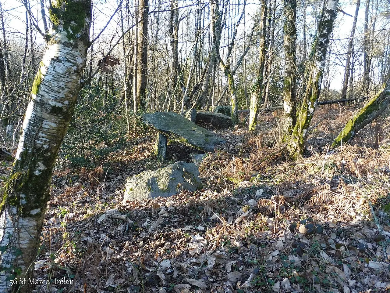 Allée couverte de Trélan
