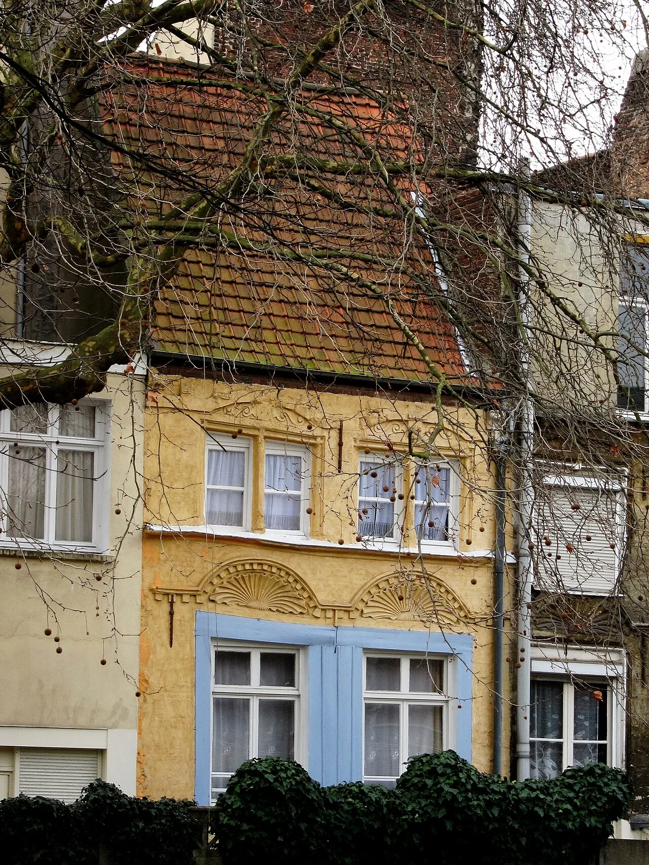 Maison