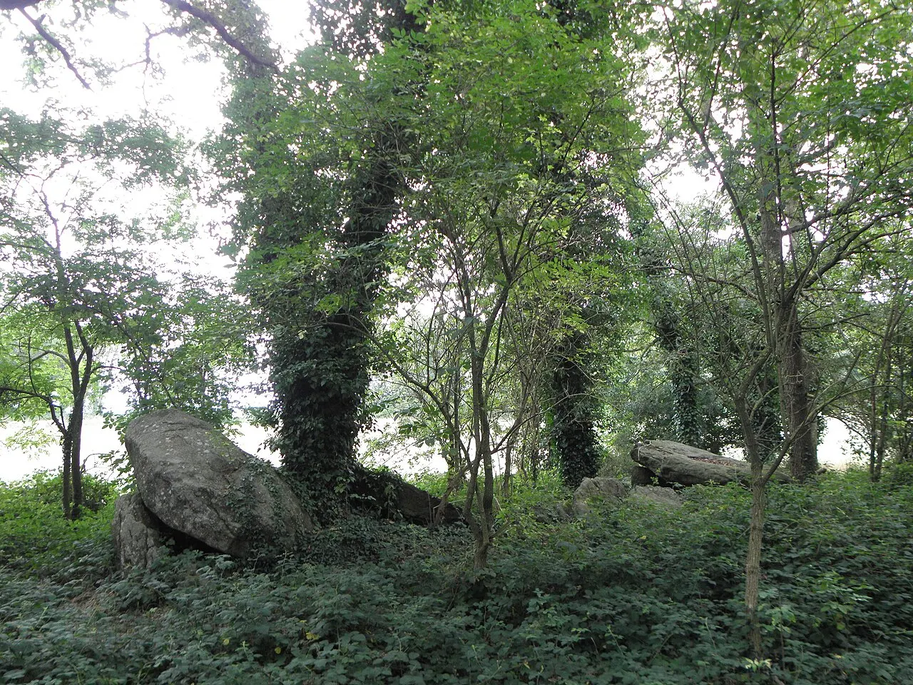 Miniac-Morvan