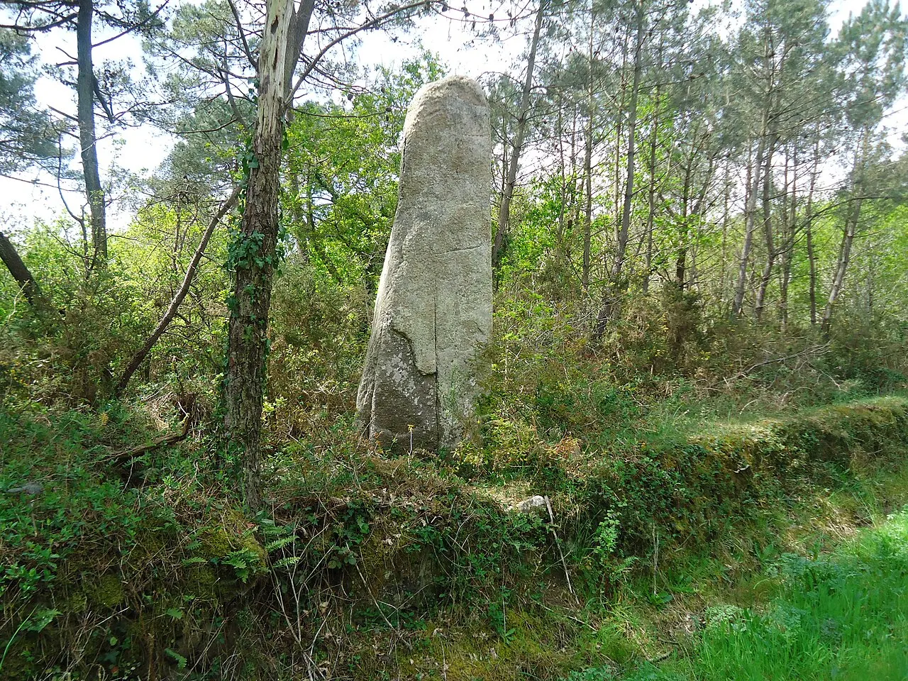 Menhir