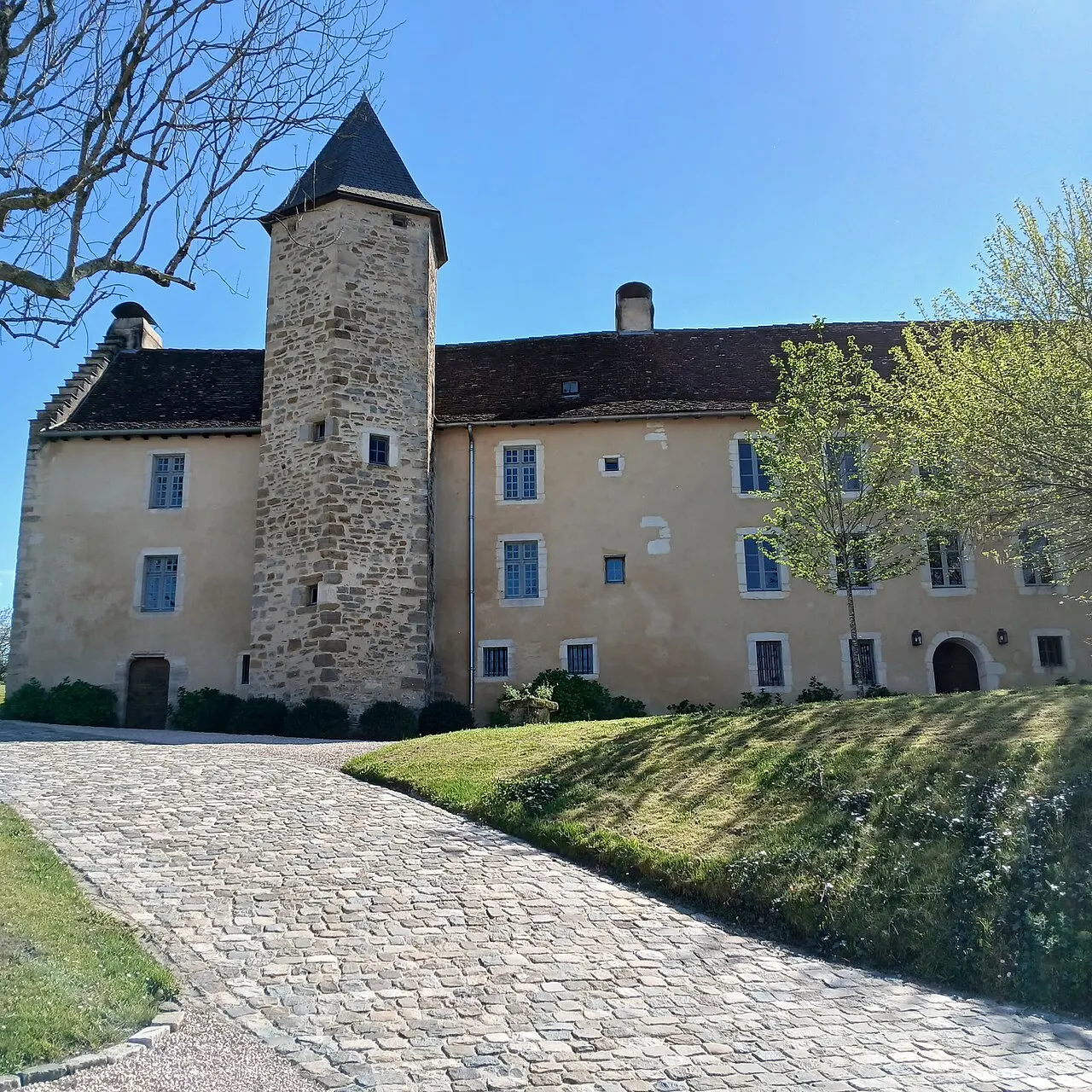 Salies-de-Béarn