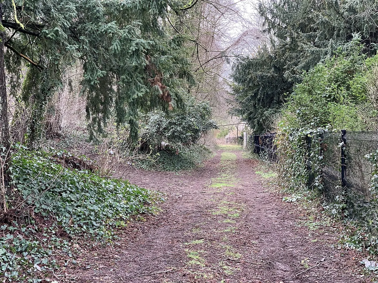 Parc du château des Rets