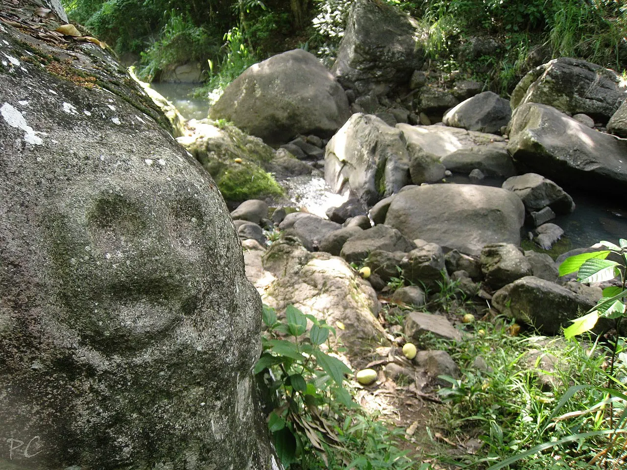 Site des roches gravées de la rivière Du Plessis
