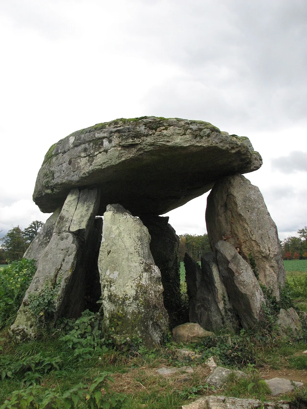 Dolmens de la Betoulle