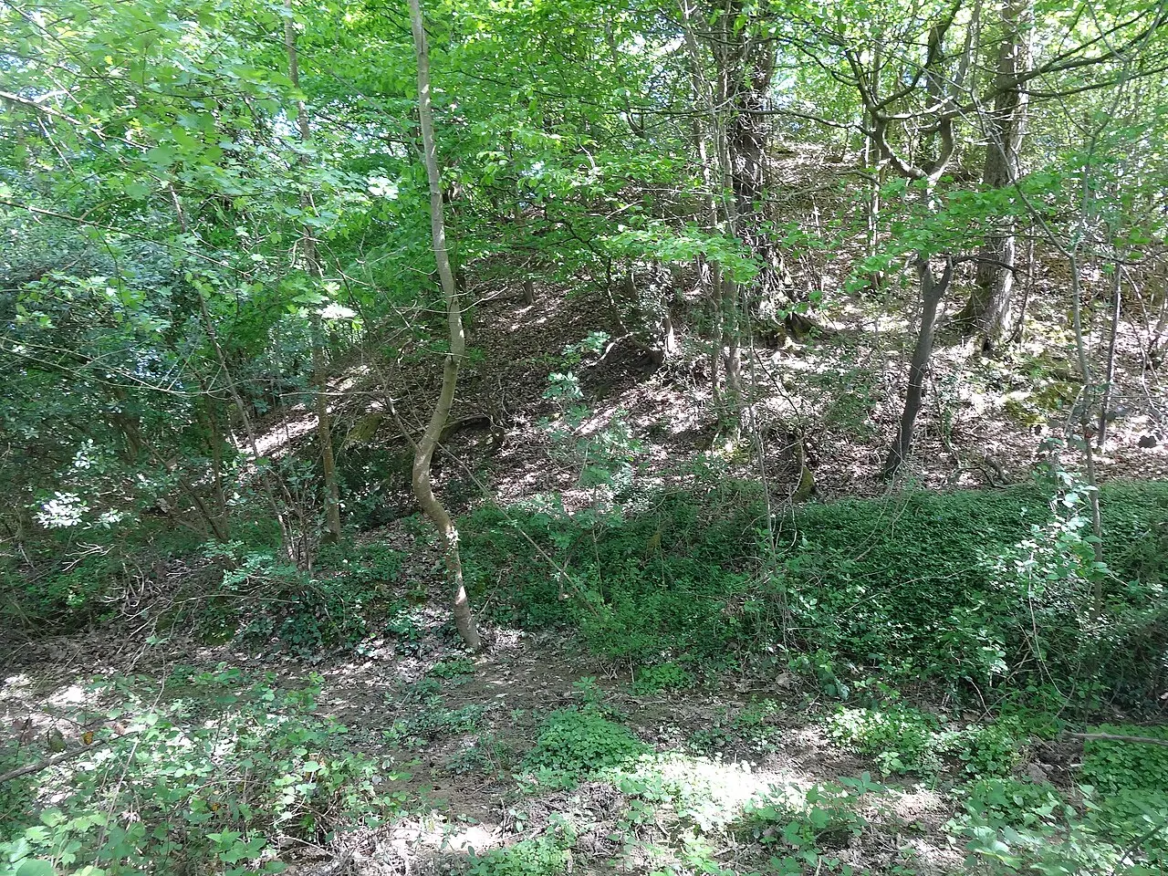 Motte féodale dénommée Le Tuco de Panassac