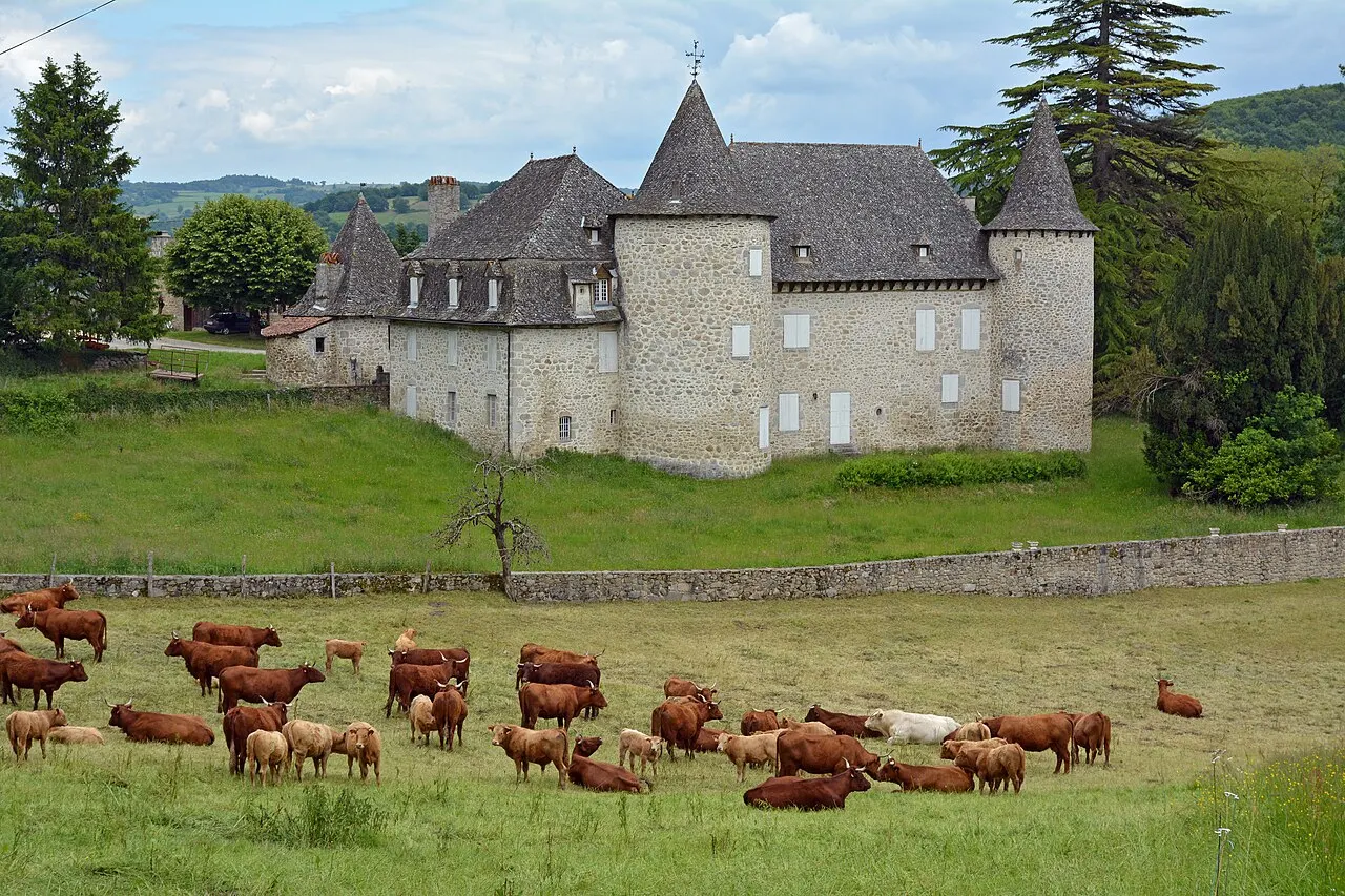 Château d’Entraygues