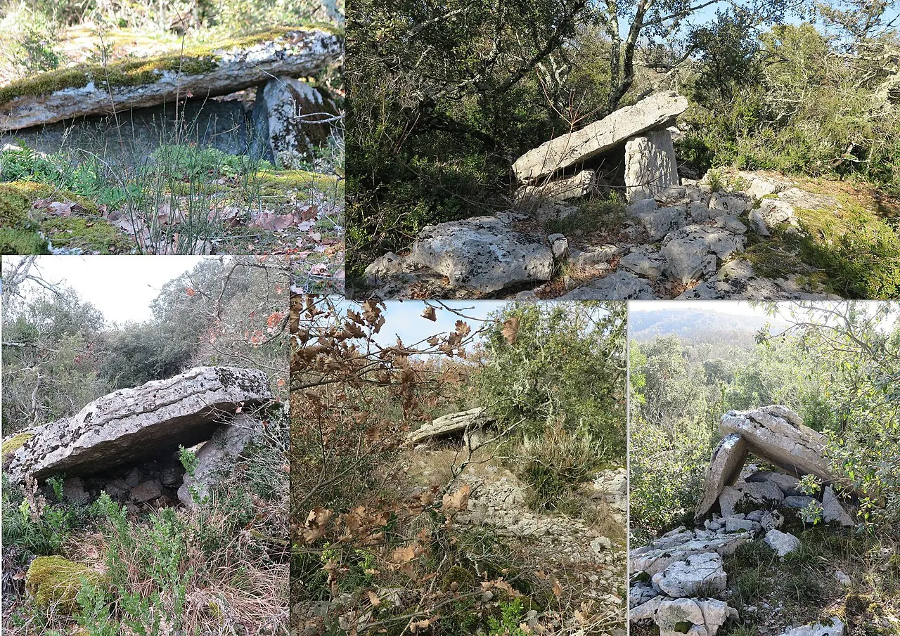 Dolmen du Bois des Roches