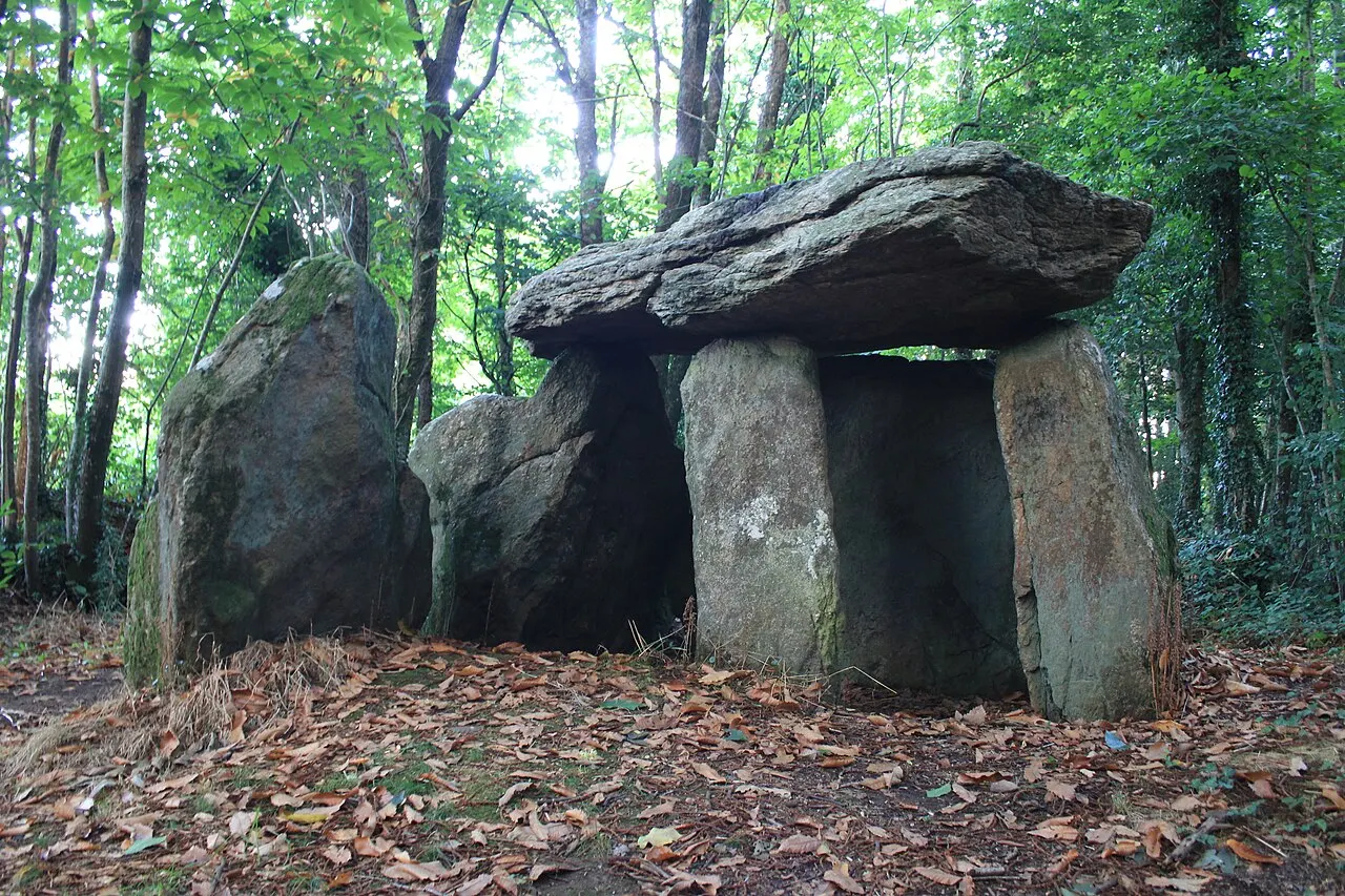 Chambre dolménique