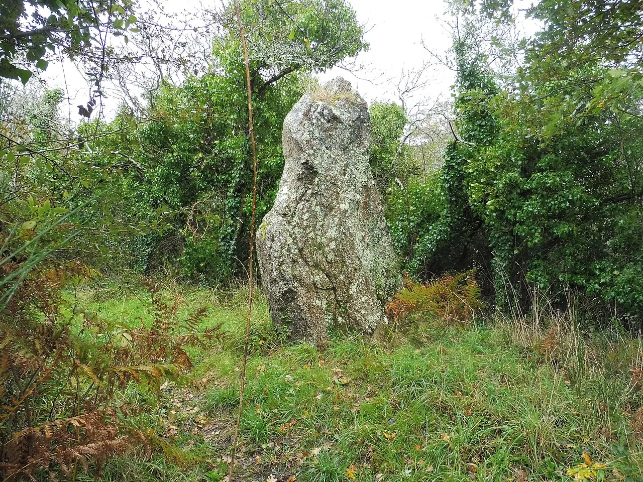 Menhir dit Men-en-Palud