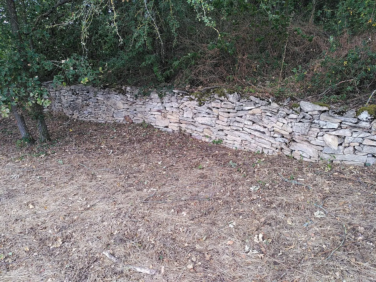 Rempart préhistorique de l’éperon barré
