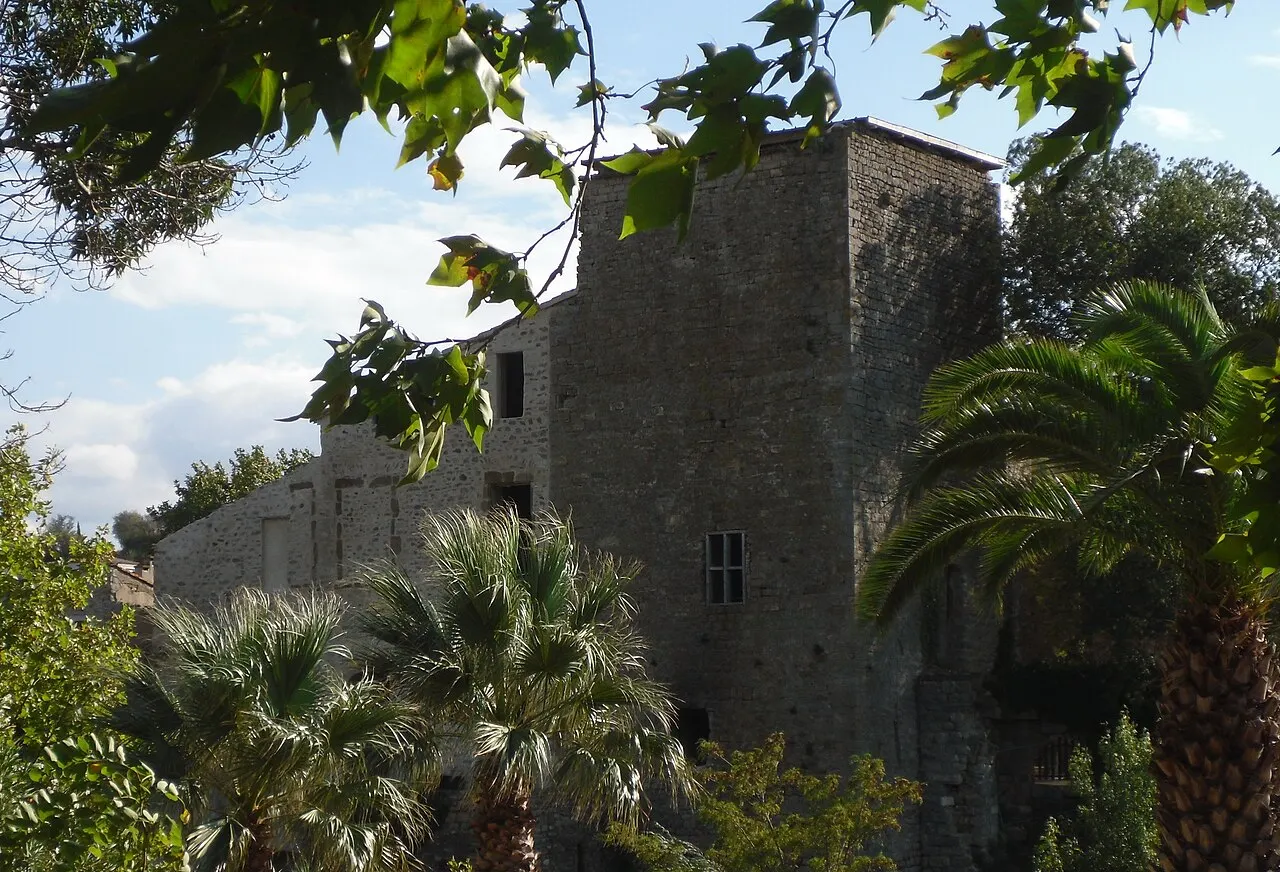 Château de Cascastel