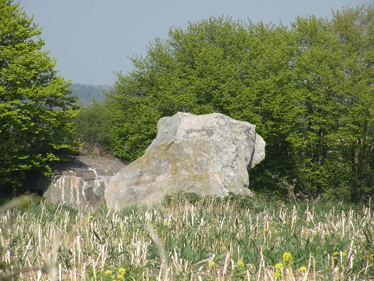 Deux menhirs dits Pierre Martine