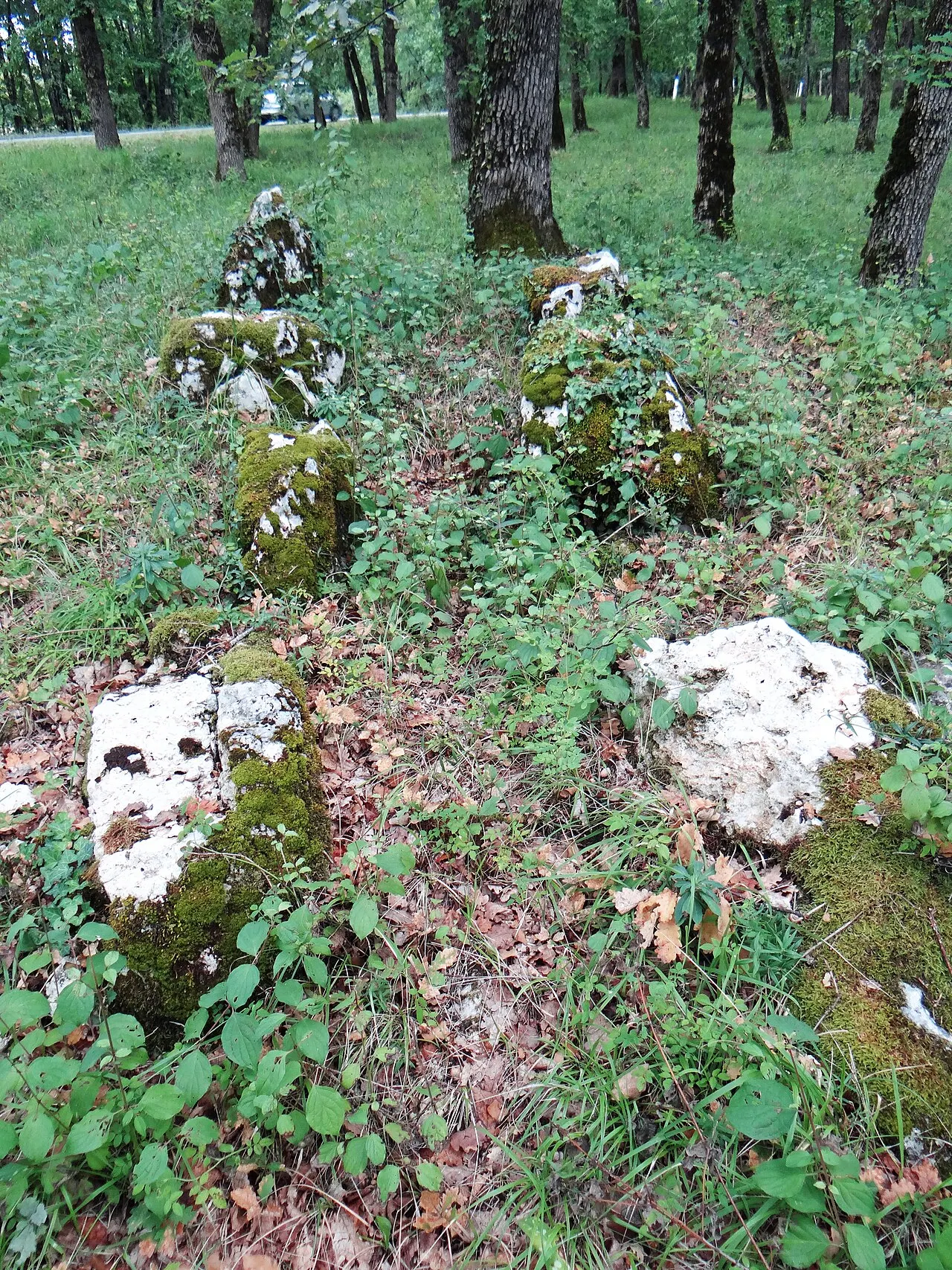 Trois alignements et deux tumuli