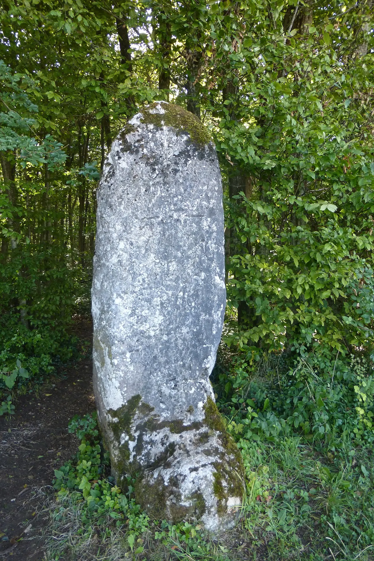 Menhir de la Dame Schonne